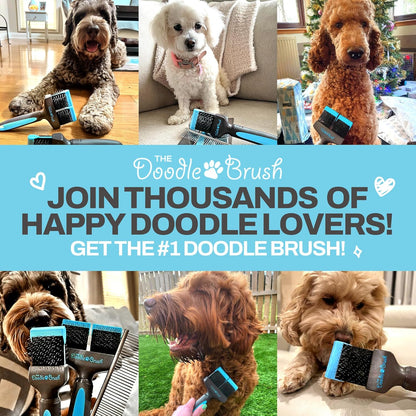 - Doodle Brush for Dogs, Goldendoodle Brushes for Grooming & Dog Brush for Labradoodle - Doodle Dog Brush - Doodle Grooming Brush, Bernedoodle Brush - Slicker Brush for Doodles