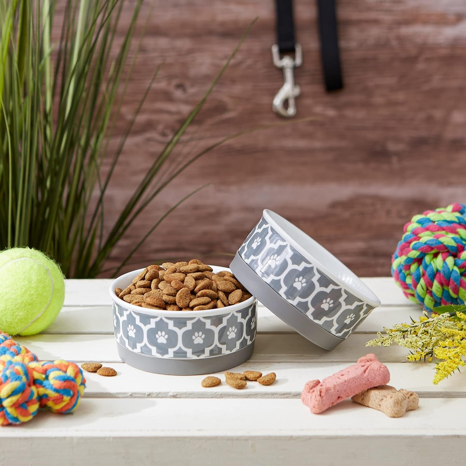 Lattice Collection Pet Bowl & Canister, Canister