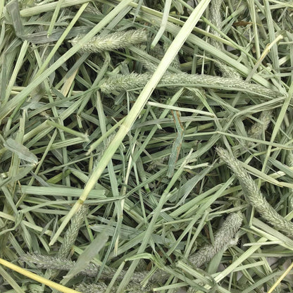 Animal Health Western Timothy Hay - All Natural Hay for Rabbits, Guinea Pigs, Chinchillas, Hamsters & Gerbils -Veterinarian Recommended- Grown in the USA-90 Oz.