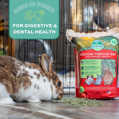 Animal Health Western Timothy Hay - All Natural Hay for Rabbits, Guinea Pigs, Chinchillas, Hamsters & Gerbils -Veterinarian Recommended- Grown in the USA-90 Oz.