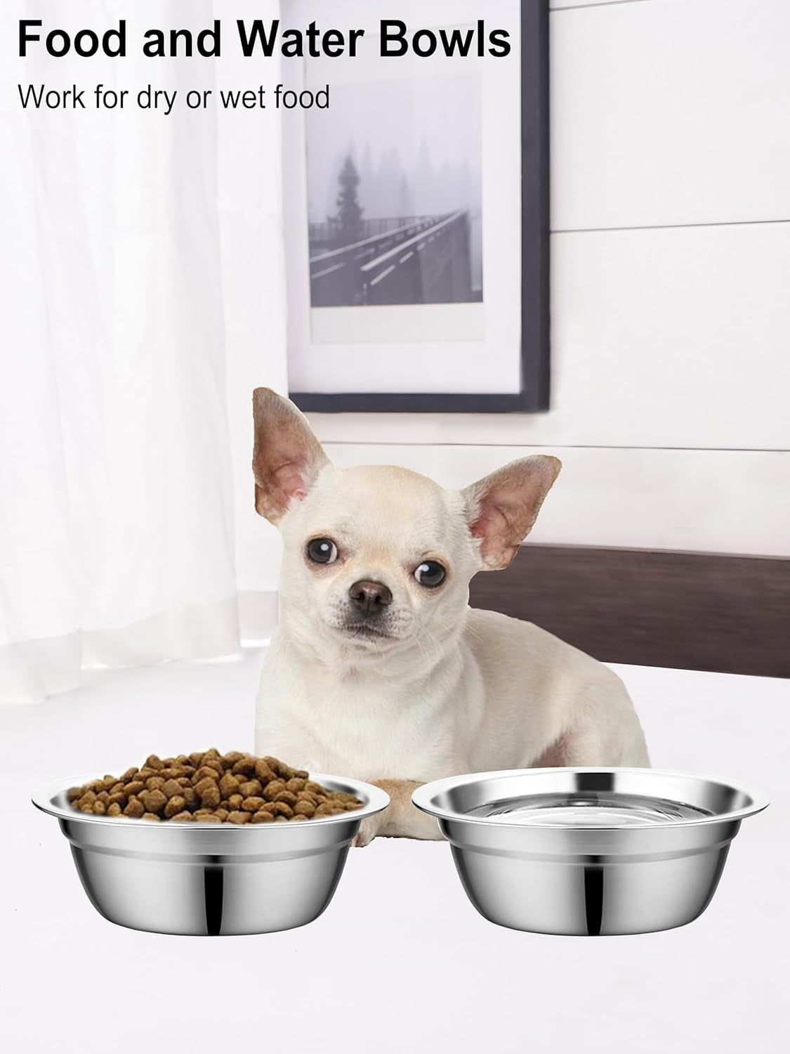 Stainless Steel Dog Bowls, Metal Dog Bowls, Dog Bowls for Small, Medium Sized Dog